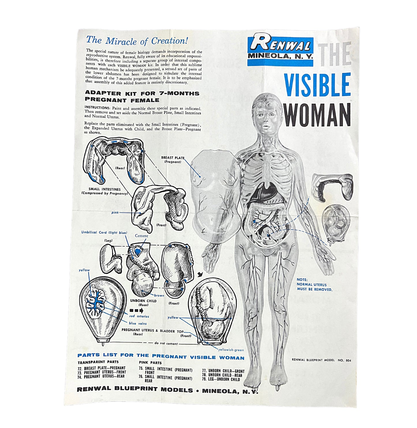 1960s The Visible Woman Human Anatomy Assembly Kit
