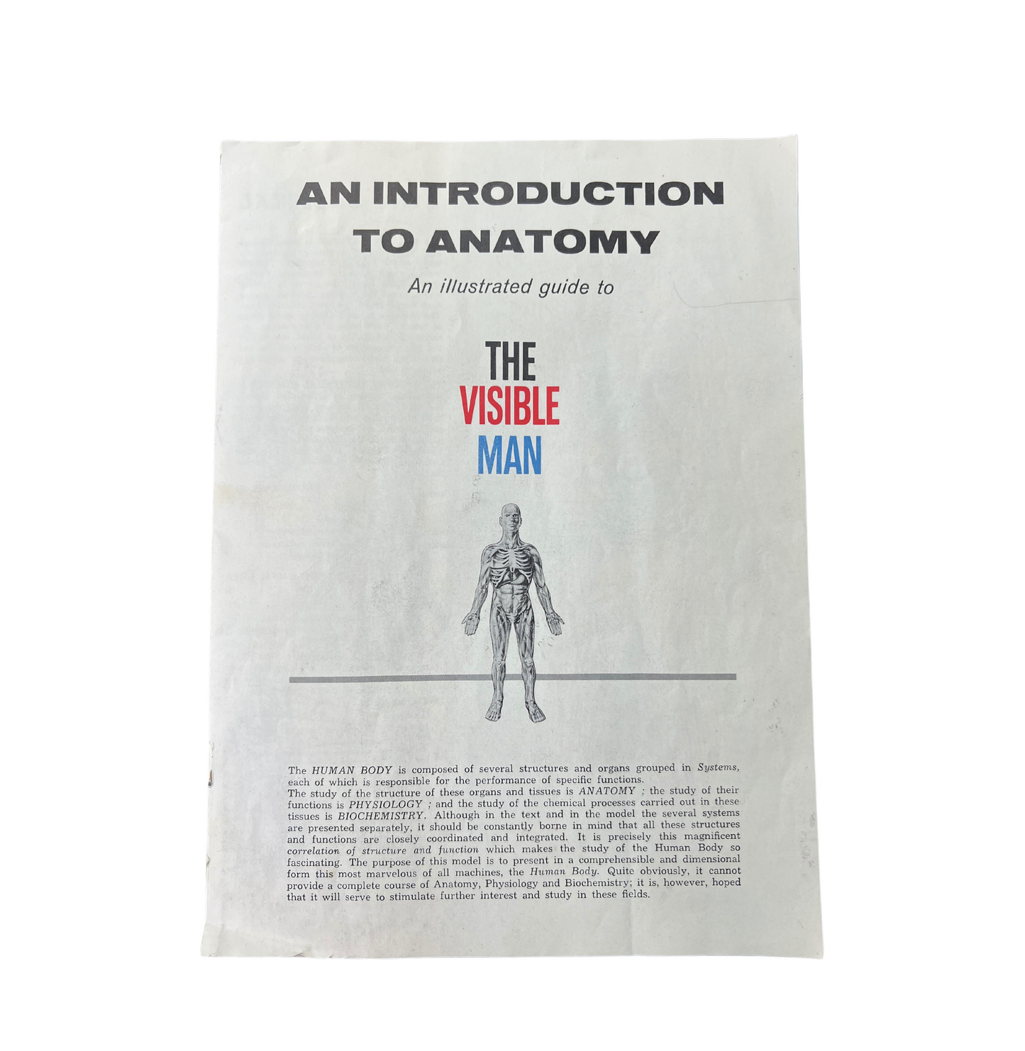 1960s The Visible Man Human Anatomy Assembly Kit