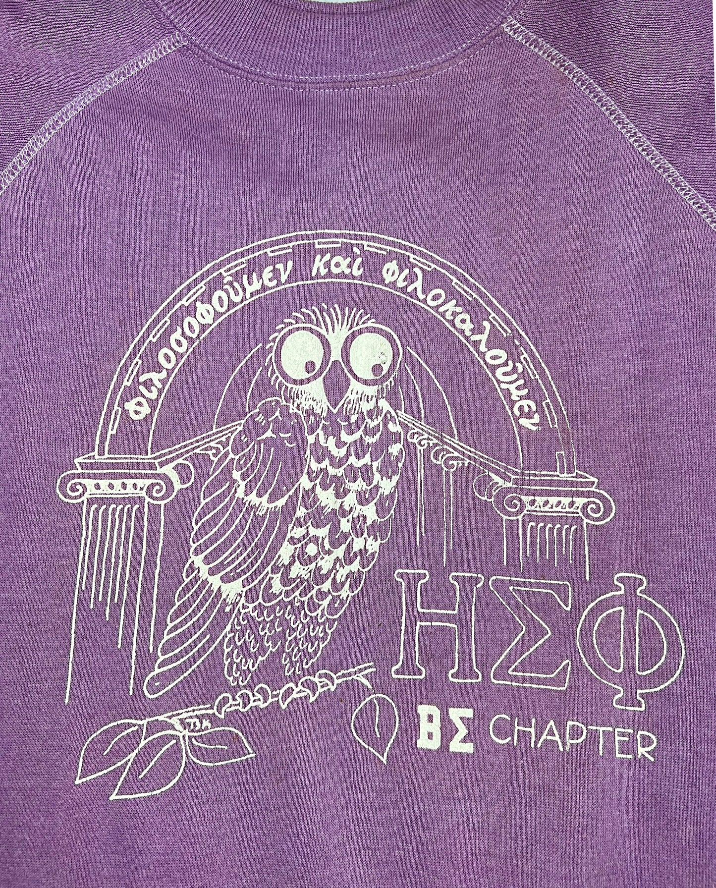 70’s HEØ BE Chapter Lilac Purple Owl Sorority Greek Sweatshirt