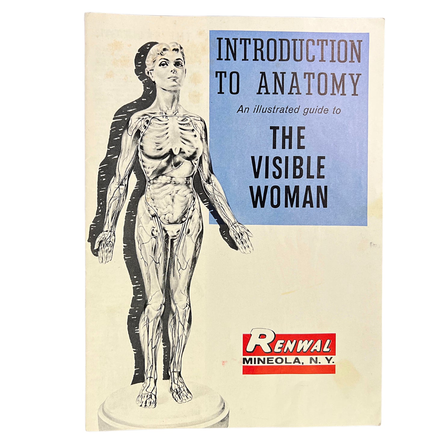 1960s The Visible Woman Human Anatomy Assembly Kit
