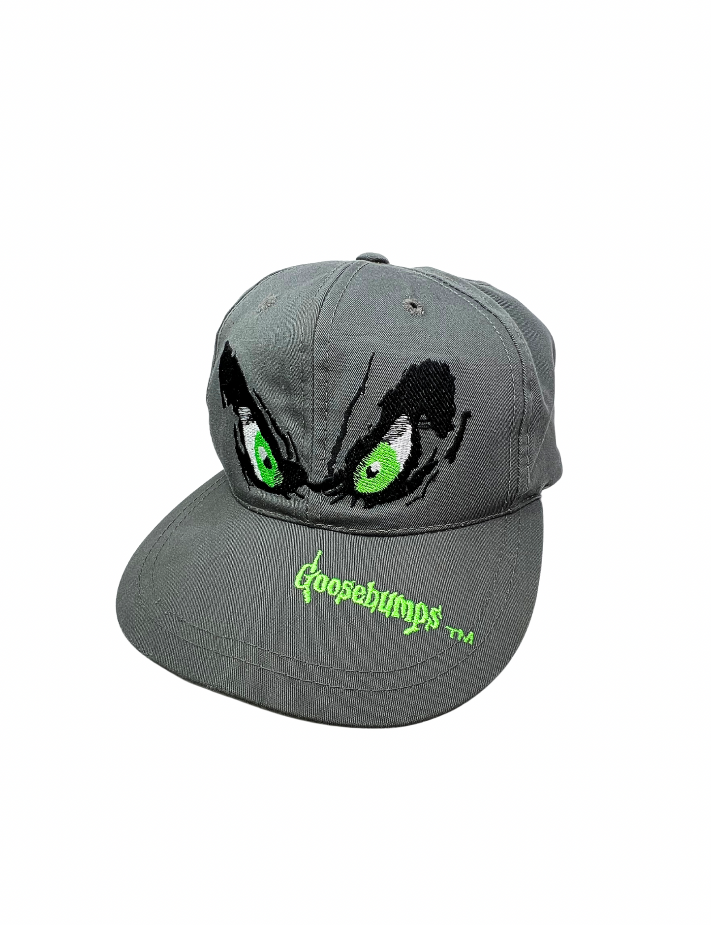 1995 Goosebumps Snapback Hat