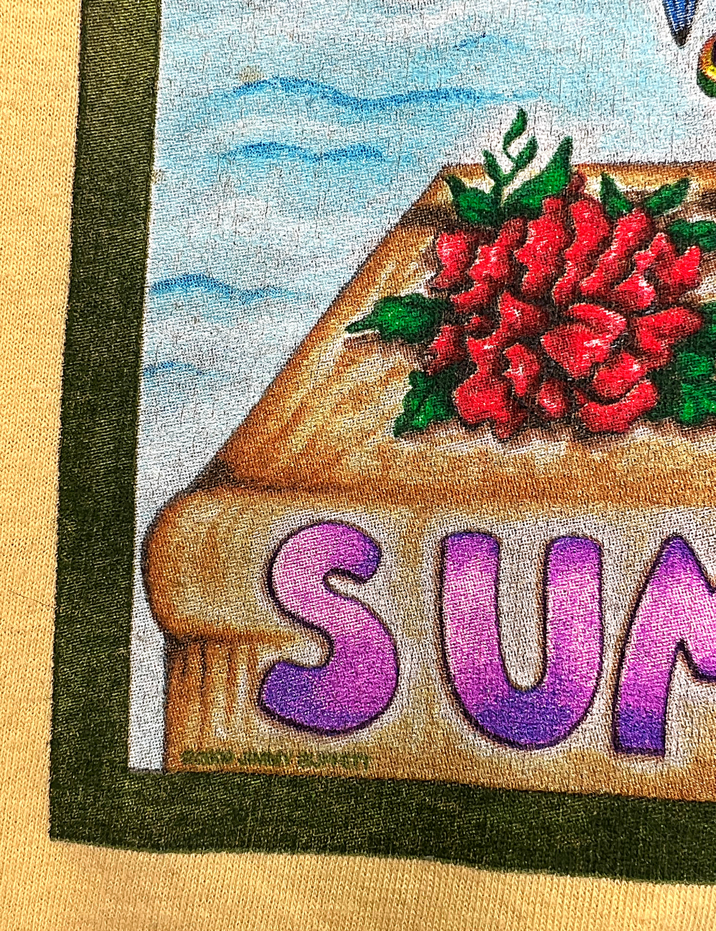 2009 Jimmy Buffet Summer Z Cool Concert T-shirt Size M