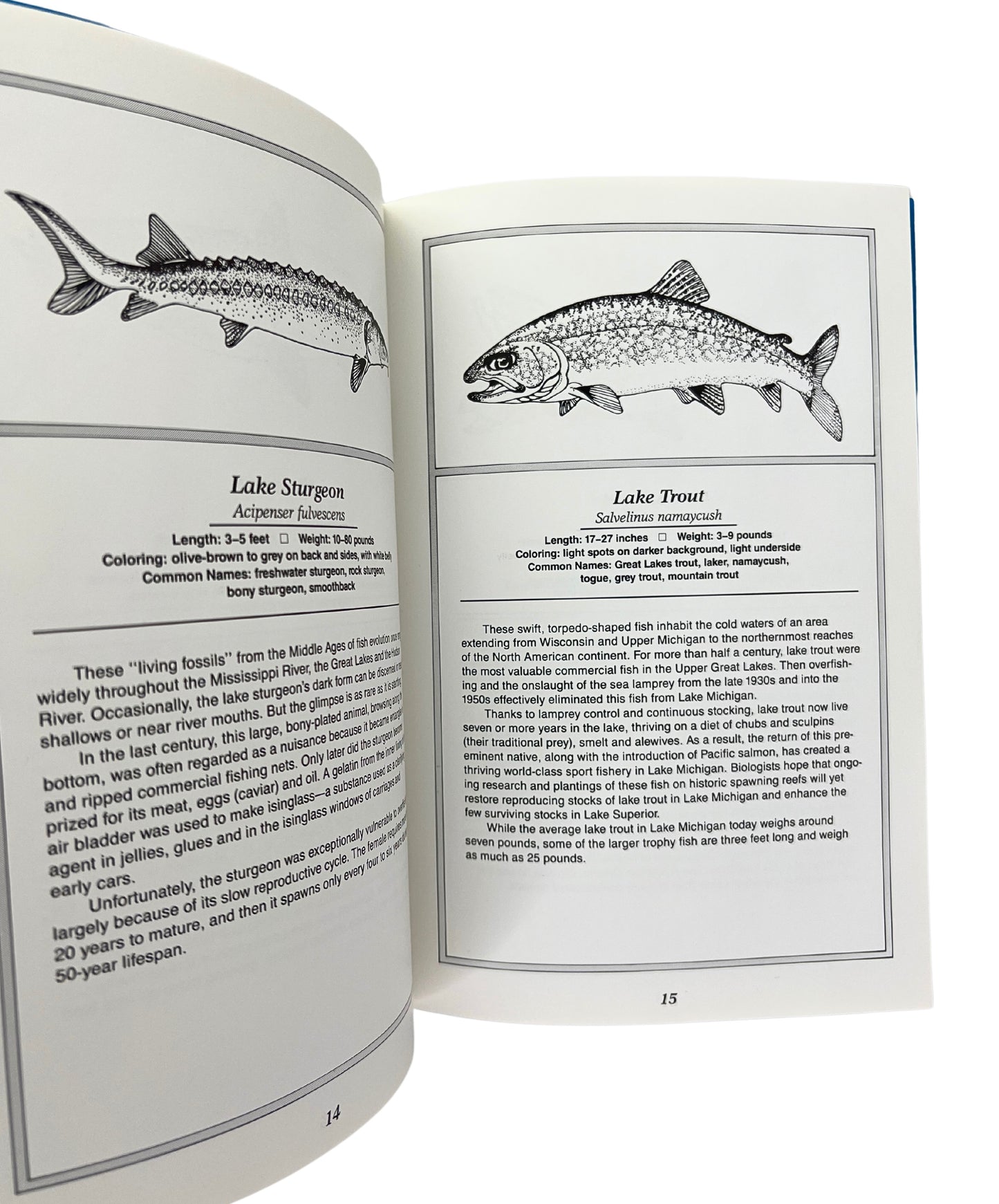 1986 Fish of Lake Michigan Guide Book by Warren Downs