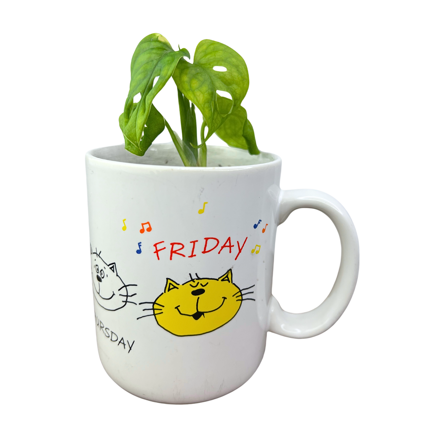 90’s Hallmark Cat MOODS Monday- Friday Coffee Mug with Monstera Deliciosa Plant