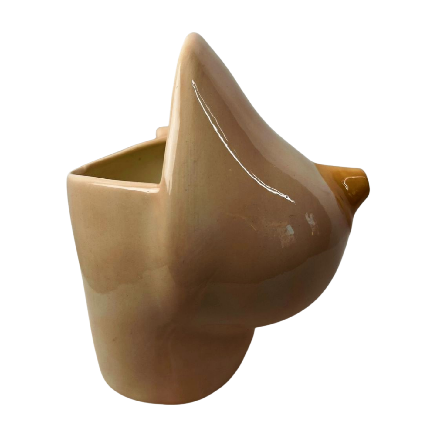 Vintage Raymond Boob Breast Nipple Spout Novelty Coffee Mug