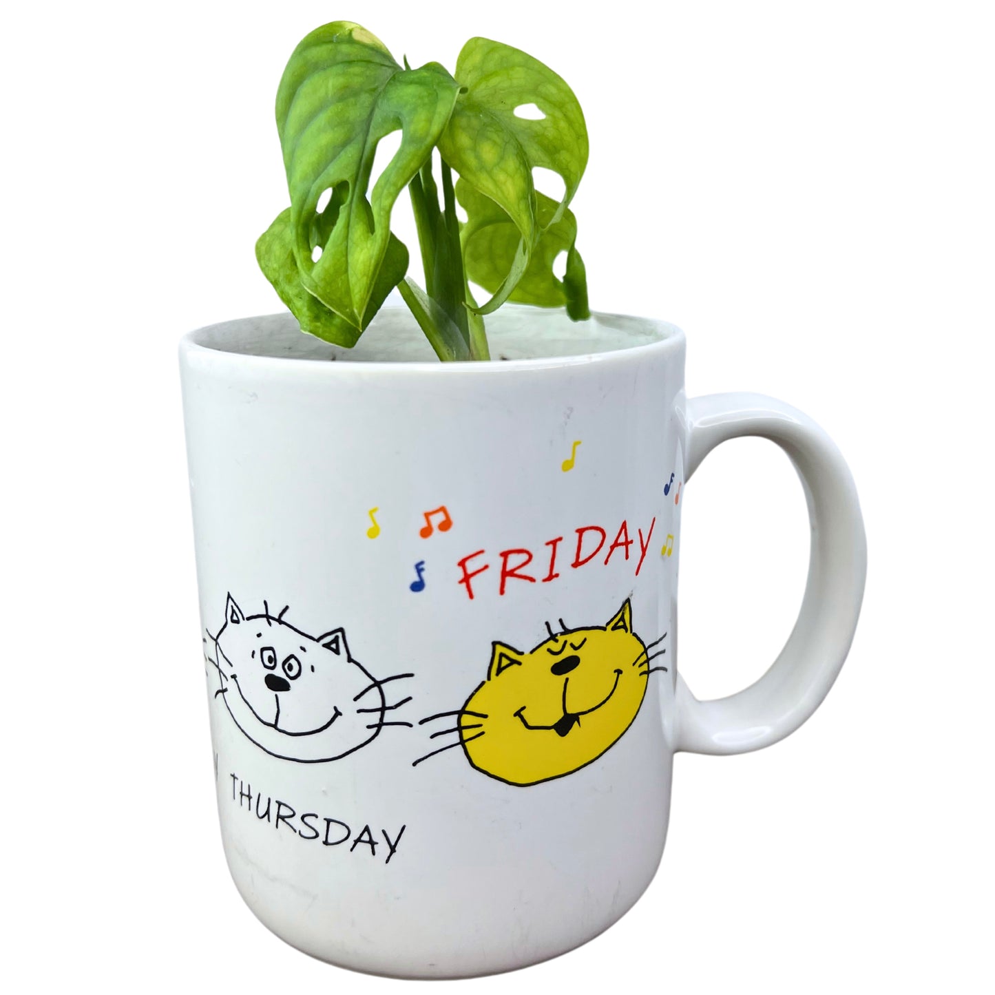 90’s Hallmark Cat MOODS Monday- Friday Coffee Mug with Monstera Deliciosa Plant