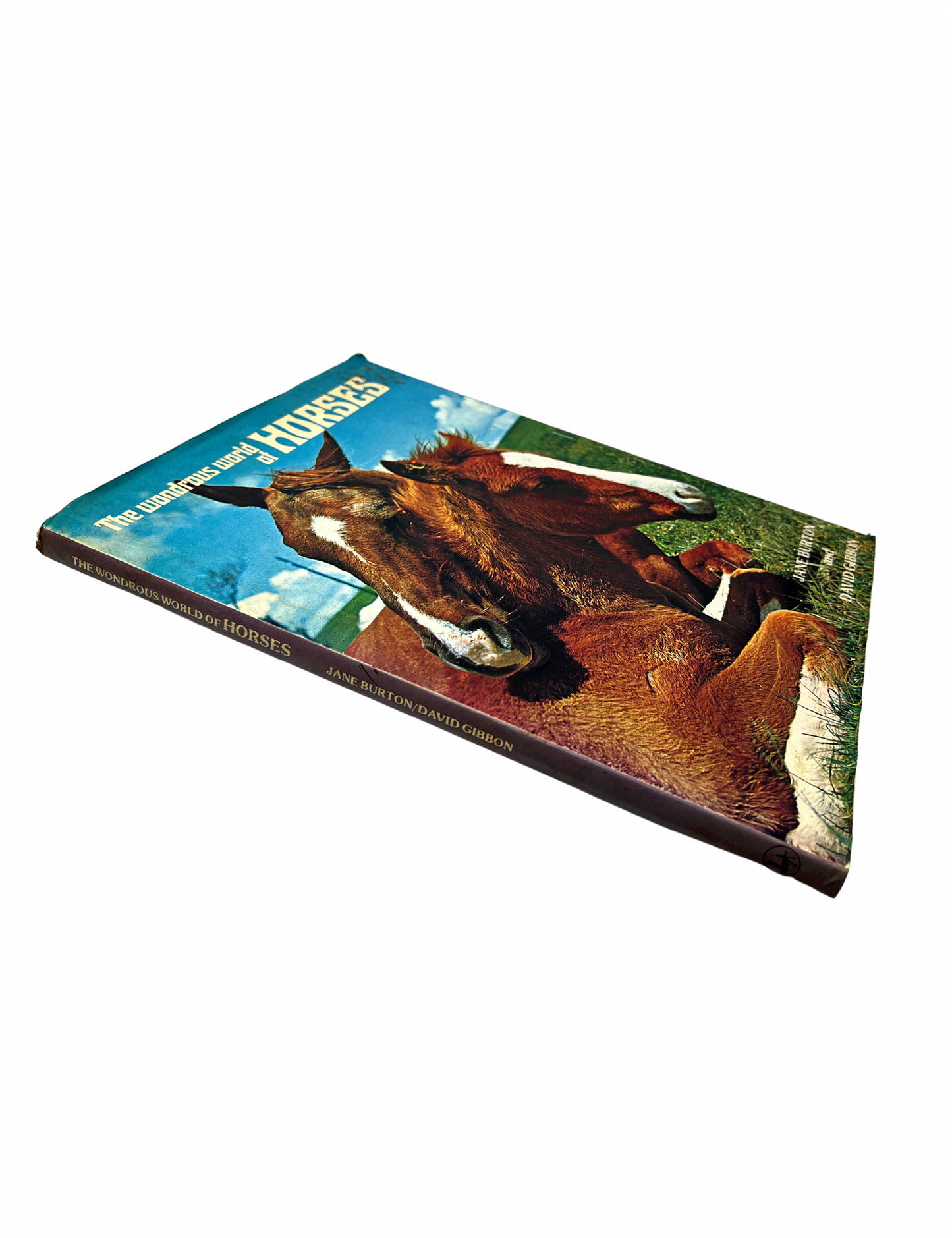 1976 The Wondrous World of Horses Glossy Animal Nature Photo Book