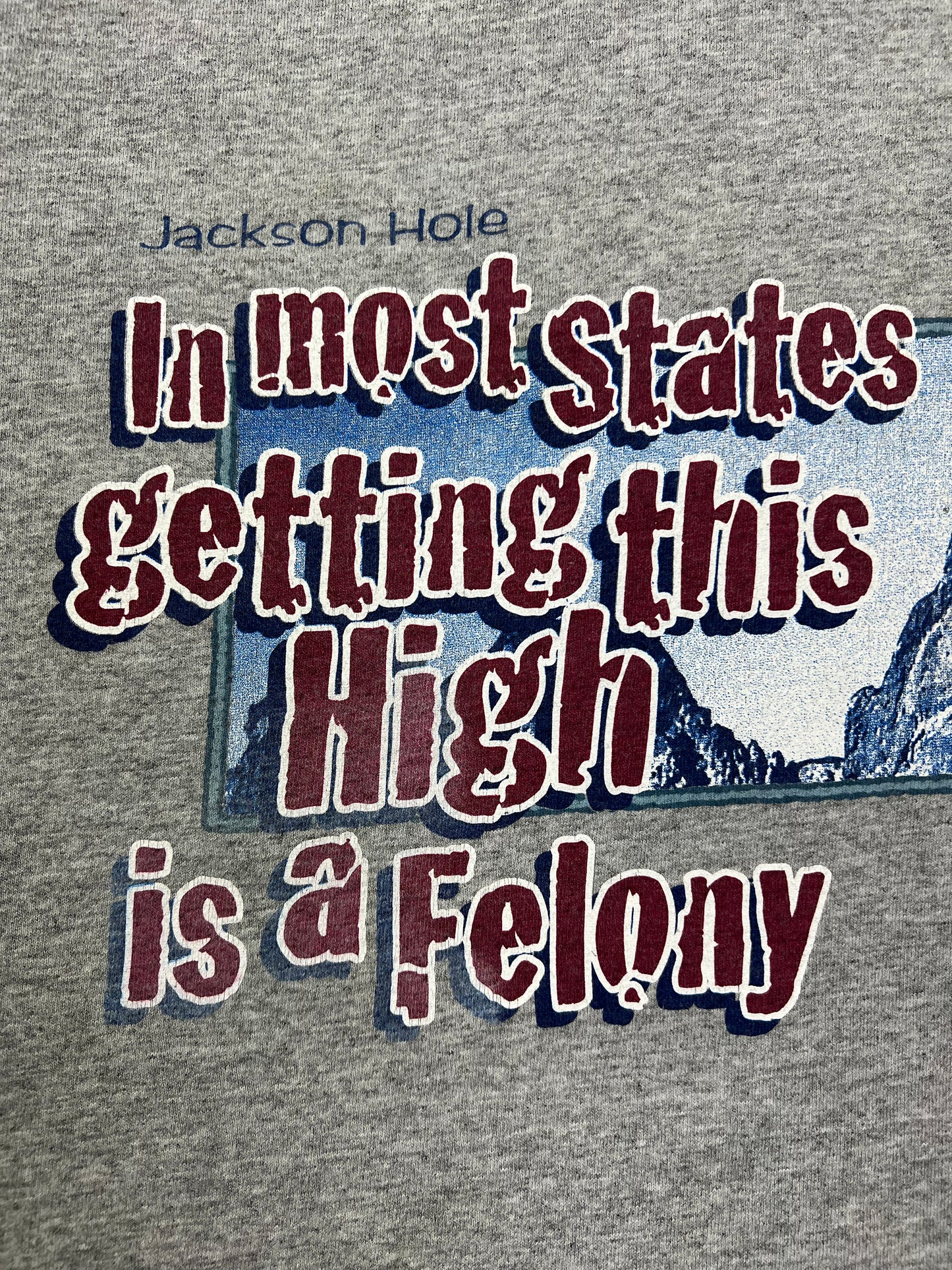 90’s “In Most States Getting This High is a Felony”  Jackson Hole, Wyoming Funny Hiking T-shirt
