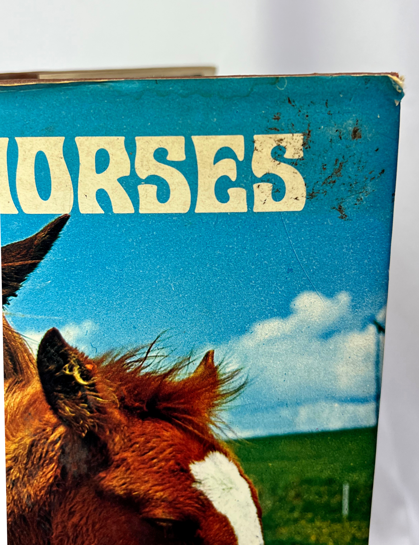 1976 The Wondrous World of Horses Glossy Animal Nature Photo Book