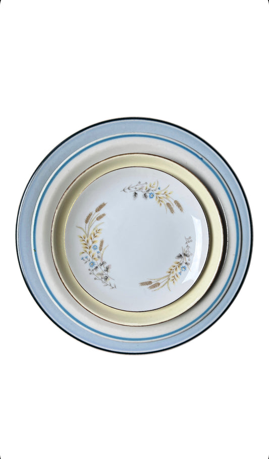 80’s Set of 4 Mismatched Blue Dinner Salad Plates Place Setting