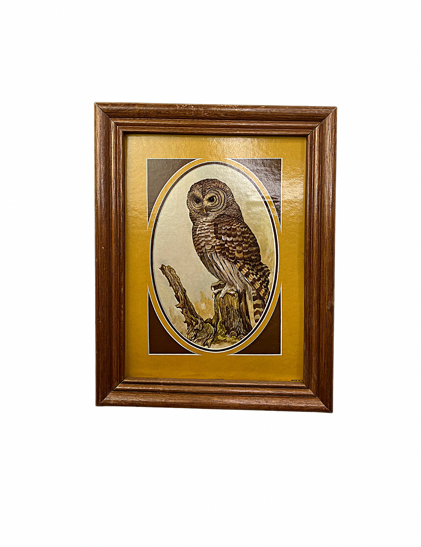 80’s Retro Barred & Barn Owls Framed Set of 2 Prints 14” x 11”